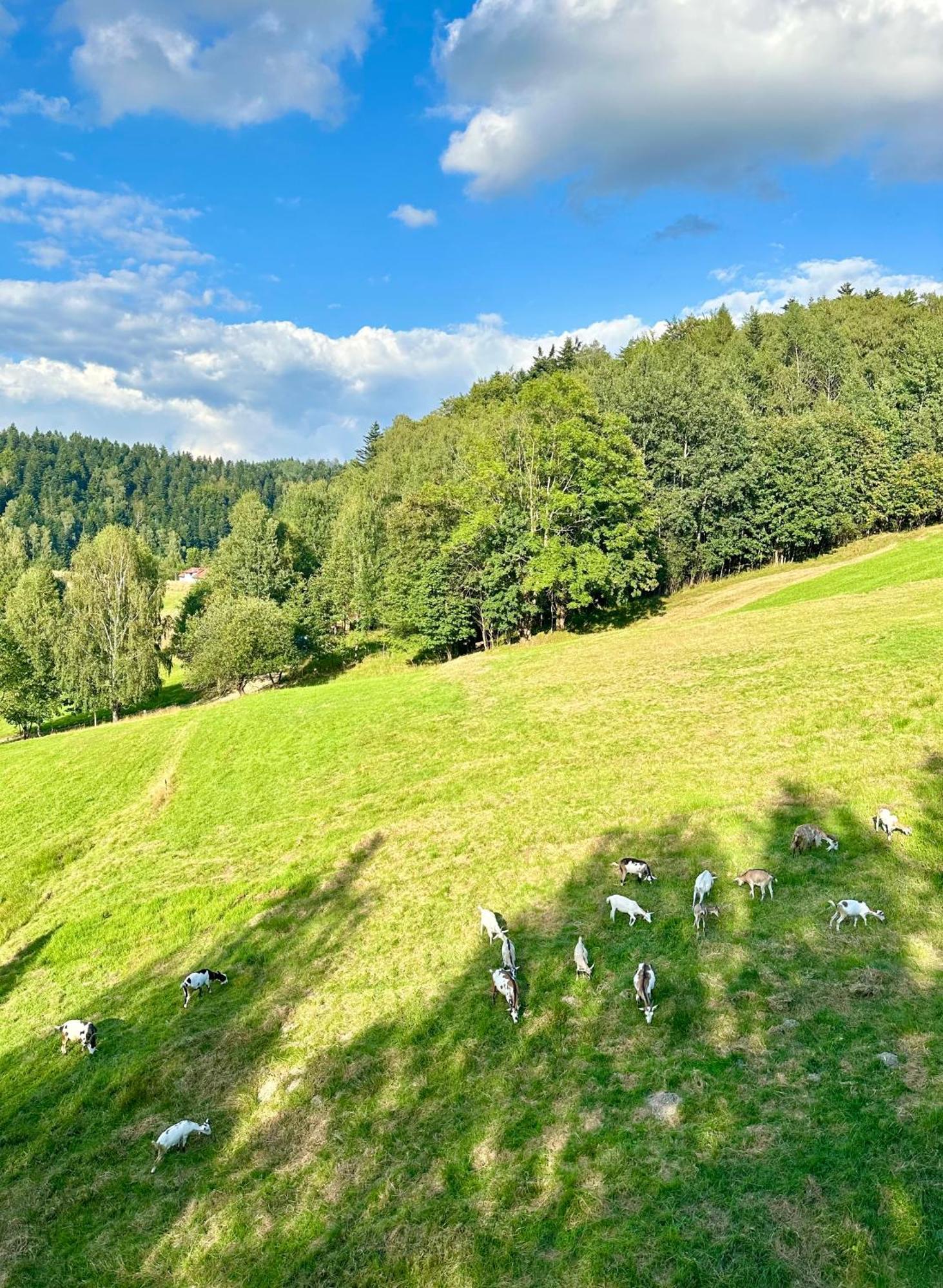 Domek W Szczyrku Dış mekan fotoğraf